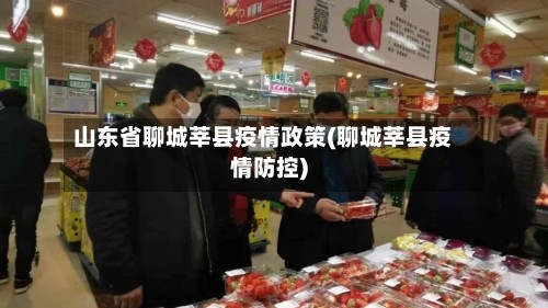 山东省聊城莘县疫情政策(聊城莘县疫情防控)