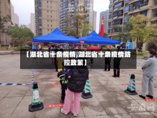 【湖北省十条疫情,湖北省十条疫情防控政策】