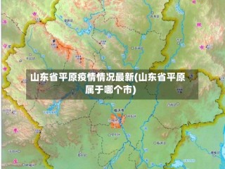 山东省平原疫情情况最新(山东省平原属于哪个市)