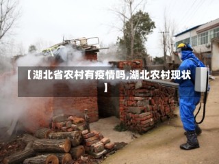 【湖北省农村有疫情吗,湖北农村现状】
