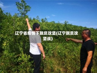 辽宁省疫情下脱贫攻坚(辽宁脱贫攻坚战)