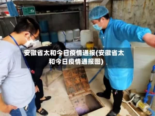 安徽省太和今日疫情通报(安徽省太和今日疫情通报图)