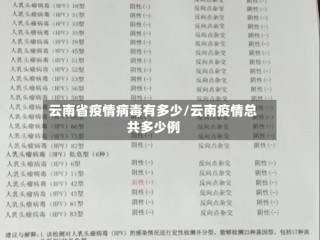 云南省疫情病毒有多少/云南疫情总共多少例