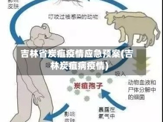 吉林省炭疽疫情应急预案(吉林炭疽病疫情)