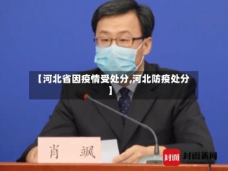 【河北省因疫情受处分,河北防疫处分】