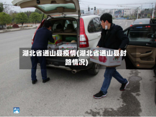 湖北省通山县疫情(湖北省通山县封路情况)