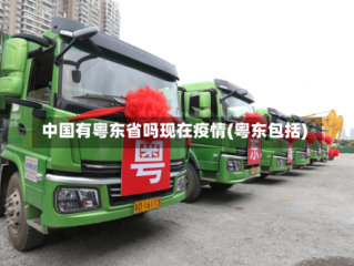中国有粤东省吗现在疫情(粤东包括)