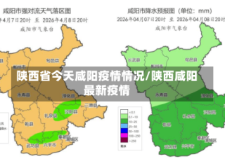 陕西省今天咸阳疫情情况/陕西咸阳最新疫情