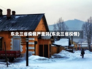 东北三省疫情严重吗(东北三省役情)