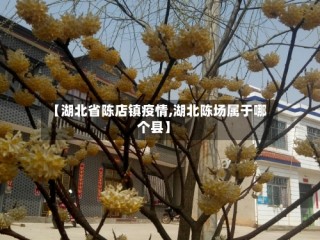 【湖北省陈店镇疫情,湖北陈场属于哪个县】