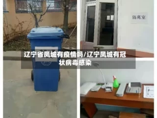 辽宁省凤城有疫情吗/辽宁凤城有冠状病毒感染