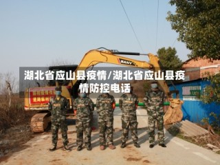 湖北省应山县疫情/湖北省应山县疫情防控电话