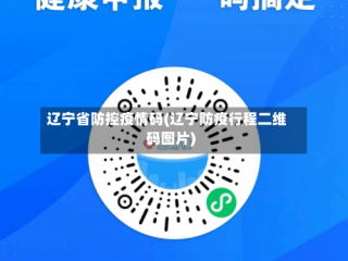 辽宁省防控疫情码(辽宁防疫行程二维码图片)