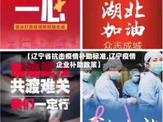 【辽宁省抗击疫情补助标准,辽宁疫情企业补助政策】