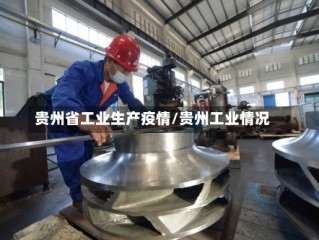 贵州省工业生产疫情/贵州工业情况