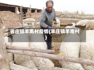 省庄镇羊南村疫情(羊庄镇羊南村)