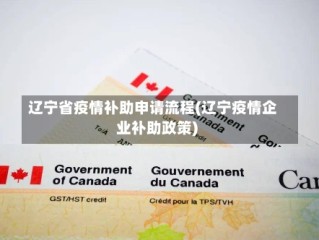 辽宁省疫情补助申请流程(辽宁疫情企业补助政策)