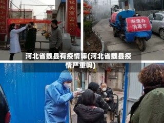 河北省魏县有疫情嘛(河北省魏县疫情严重吗)