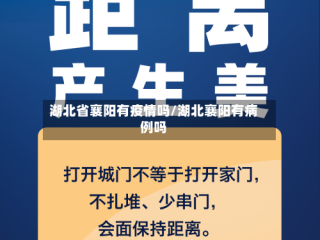 湖北省襄阳有疫情吗/湖北襄阳有病例吗