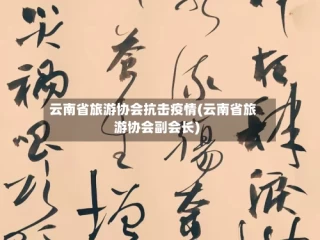 云南省旅游协会抗击疫情(云南省旅游协会副会长)