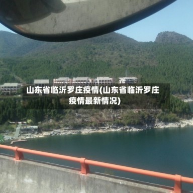 山东省临沂罗庄疫情(山东省临沂罗庄疫情最新情况)