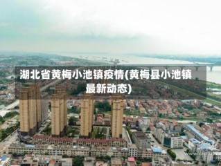 湖北省黄梅小池镇疫情(黄梅县小池镇最新动态)