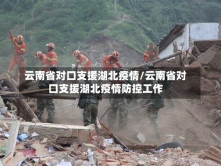 云南省对口支援湖北疫情/云南省对口支援湖北疫情防控工作