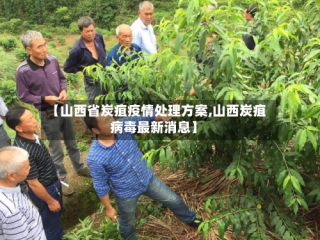 【山西省炭疽疫情处理方案,山西炭疽病毒最新消息】