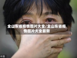 全山东省疫情图片大全/全山东省疫情图片大全最新