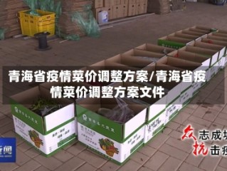 青海省疫情菜价调整方案/青海省疫情菜价调整方案文件
