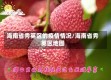 海南省秀英区的疫情情况/海南省秀英区地图