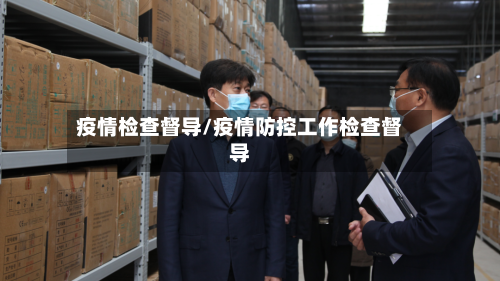 疫情检查督导/疫情防控工作检查督导
