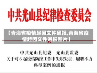 【青海省疫情起因文件通报,青海省疫情起因文件通报图片】