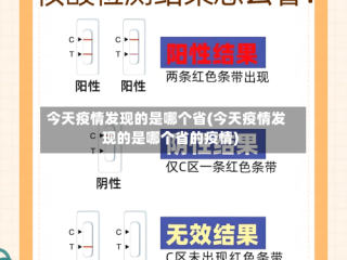 今天疫情发现的是哪个省(今天疫情发现的是哪个省的疫情)