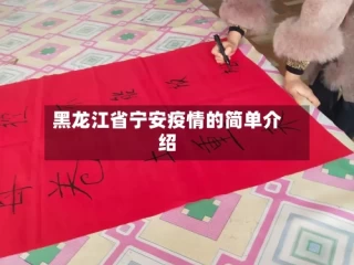 黑龙江省宁安疫情的简单介绍