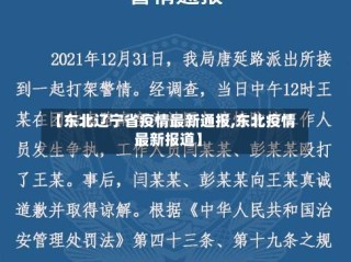 【东北辽宁省疫情最新通报,东北疫情最新报道】