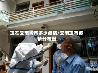 现在云南省有多少疫情/云南现有疫情分布图
