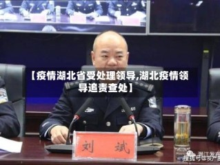 【疫情湖北省受处理领导,湖北疫情领导追责查处】