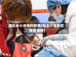 湖北省小池镇的疫情(湖北小池新冠疫苗接种)