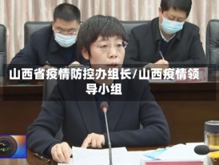 山西省疫情防控办组长/山西疫情领导小组