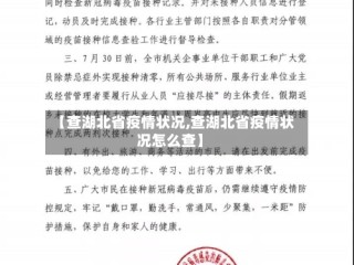 【查湖北省疫情状况,查湖北省疫情状况怎么查】