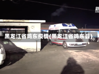 黑龙江省鸡东疫情(黑龙江省鸡东县)