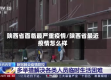 陕西省面临最严重疫情/陕西省最近疫情怎么样