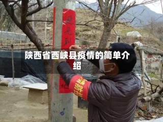 陕西省西峡县疫情的简单介绍
