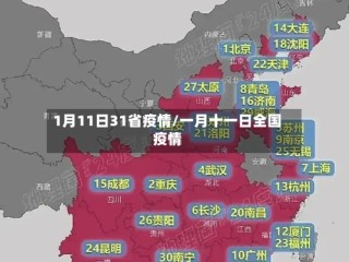1月11日31省疫情/一月十一日全国疫情