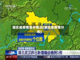 湖北省疫情各市情况(湖北省疫情分布)