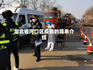 湖北省河口区疫情的简单介绍