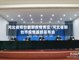 河北省邢台最新疫情黄庄/河北省邢台市疫情最新发布会
