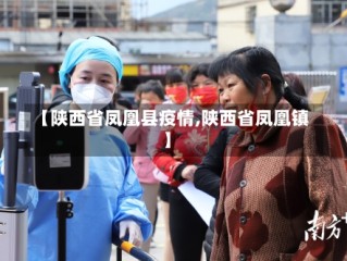 【陕西省凤凰县疫情,陕西省凤凰镇】
