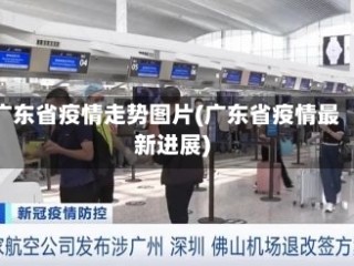 广东省疫情走势图片(广东省疫情最新进展)